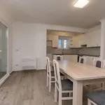 Marija Ii
