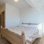 Apartman Marija Ii